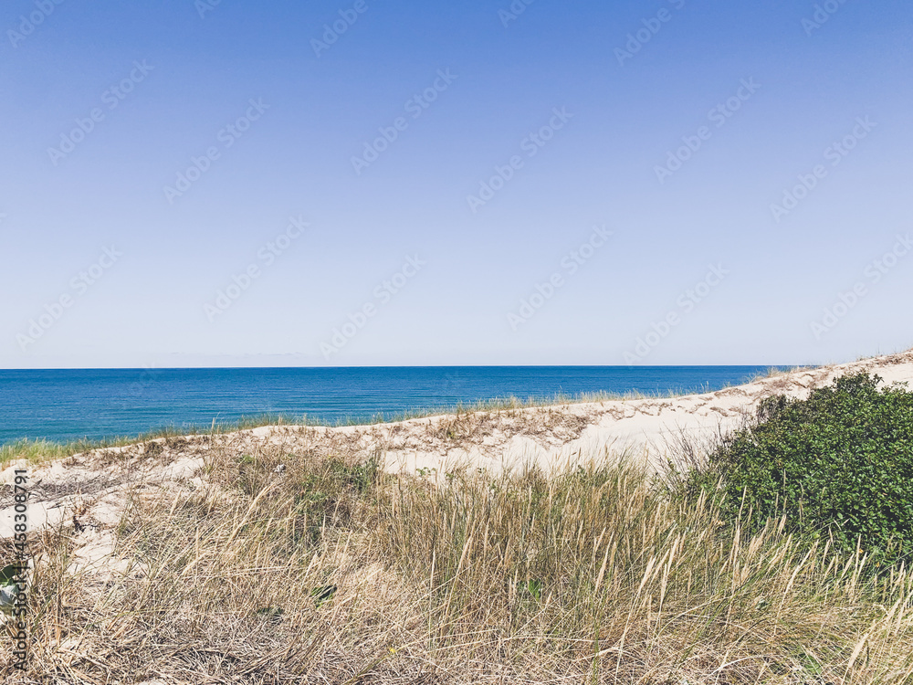 White sand dunes with some grass and seascape background White sand dunes with some grass and seascape background