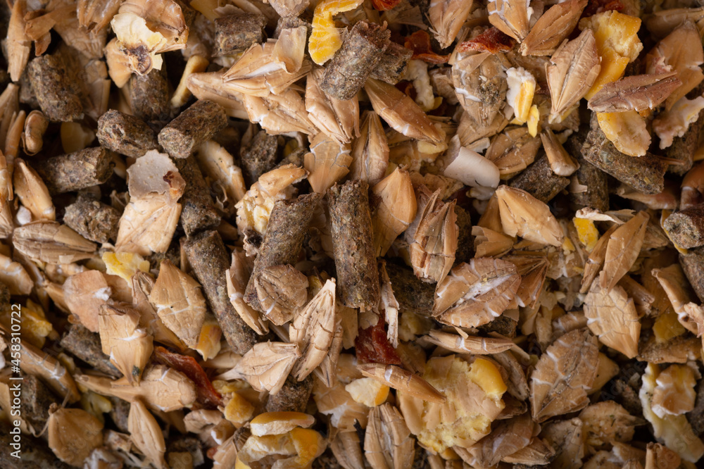 background of basical muesli for  horses. feeding and horse care concept. macro. top view