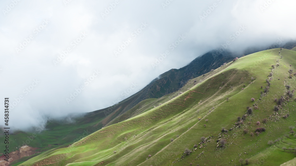 An airy landscape with green mountains, gray stones lie on them and small trees grow against the background of a giant cloud. An idyllic landscape, a drone flies into a cloud and loses its orientation