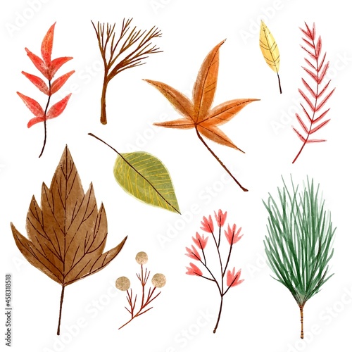 watercolor autumn leaves collection vector design illustration