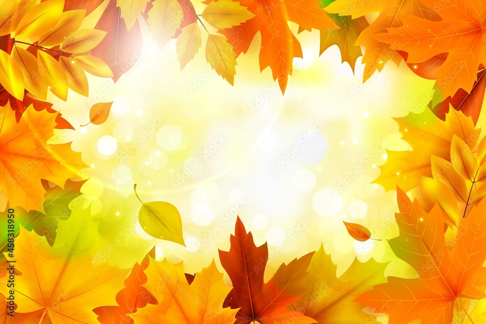 autumn realistic background vector design illustration