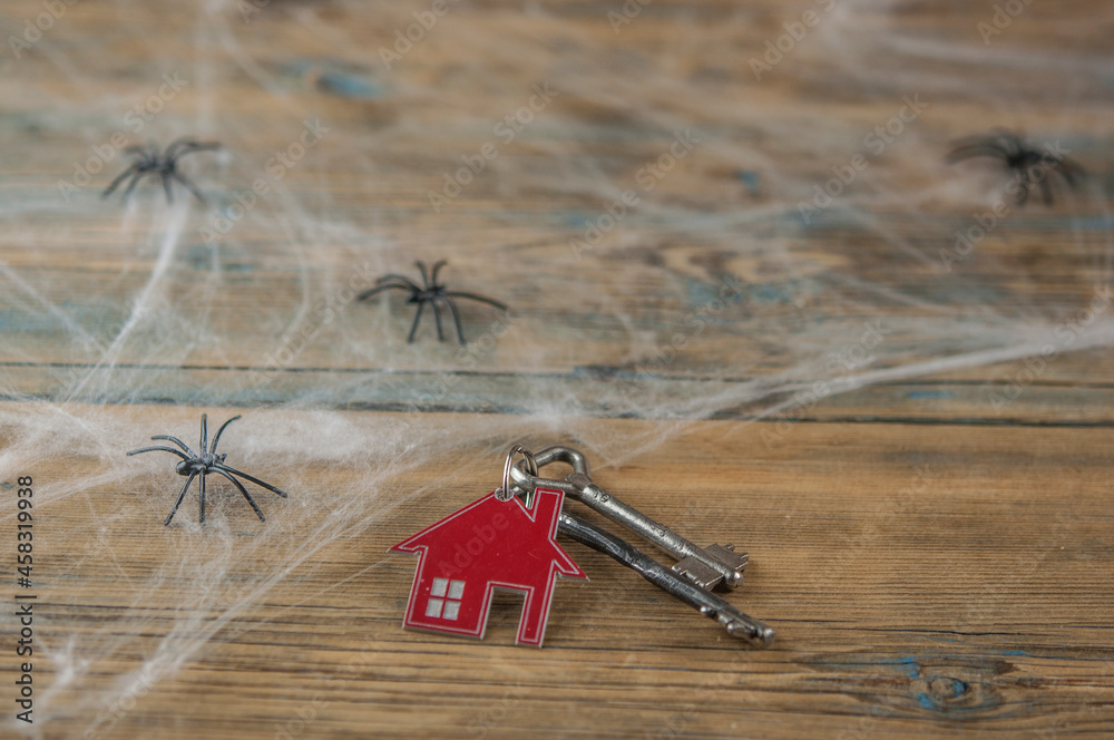 House symbol with silver keys, spider web and black spiders on a wood ...