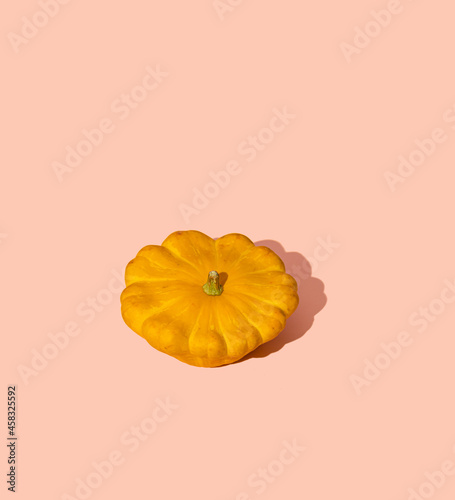 Fresh organic pumpkin against pastel orange background. Minimal Autumn or Halloween layout.