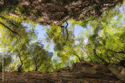 Gorges of Lacerno, Italy. Deep gorge surrounded by millenary rocks, viewed from below. On the edges the luxuriant vegetation and the background sky. photo