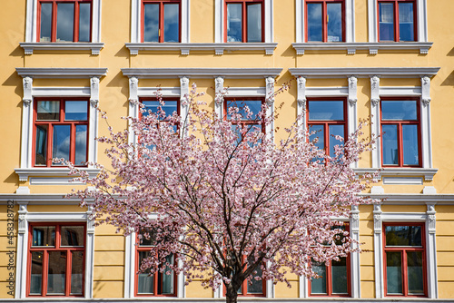 Tøyen, Oslo, Norway.