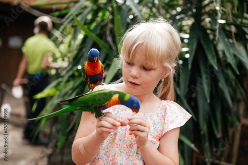 the girl feeds the parrots that sit on her body photo