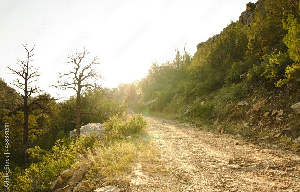 A dirt road leading into a canyon during sun rise