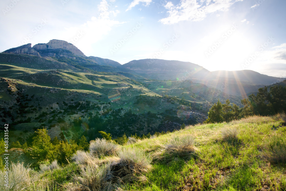A grassy hillside sunrise in Wyoming Big Horn National Forest. Daybreak wallpaper desktop