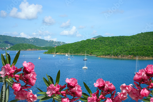     View at beautiful St. Thomas, US Virgin Islands photo