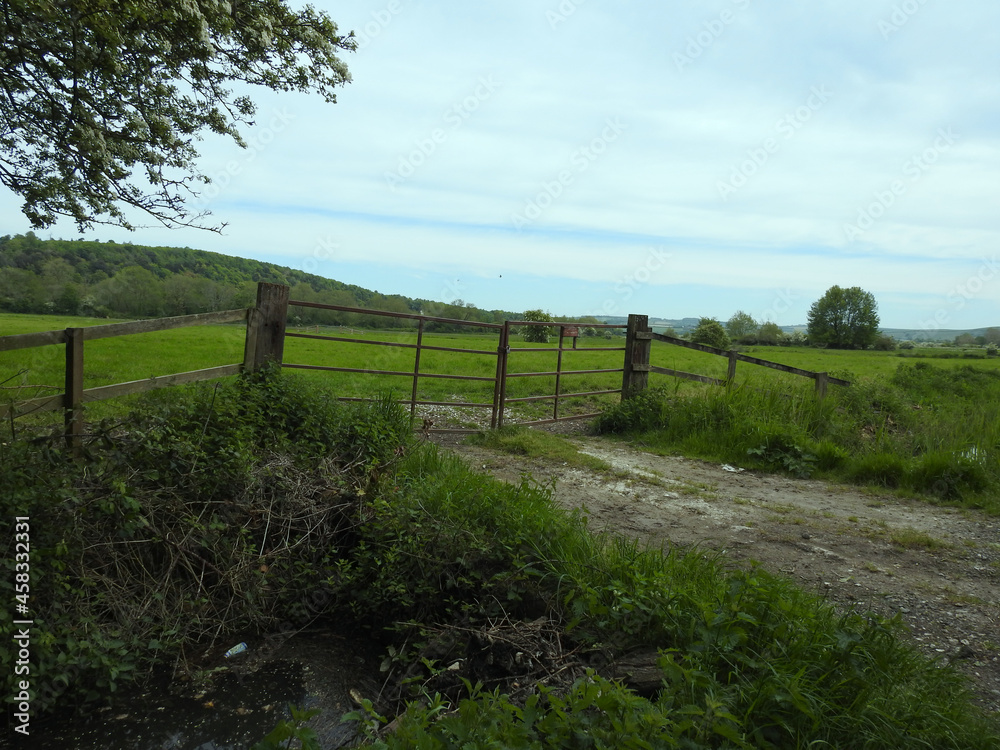 View of rural green areas with trees and fence