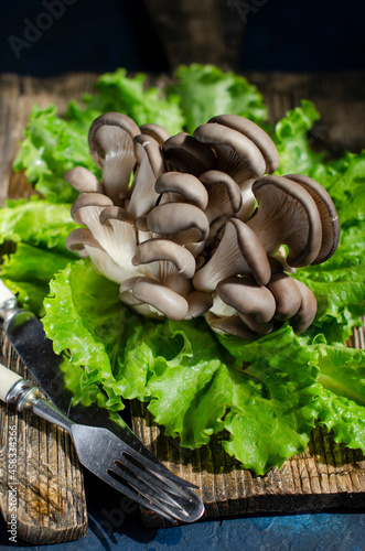 fresh oyster mushrooms on a wooden board with salad