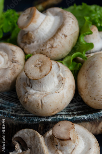 fresh champignons with fresh herbs on the table