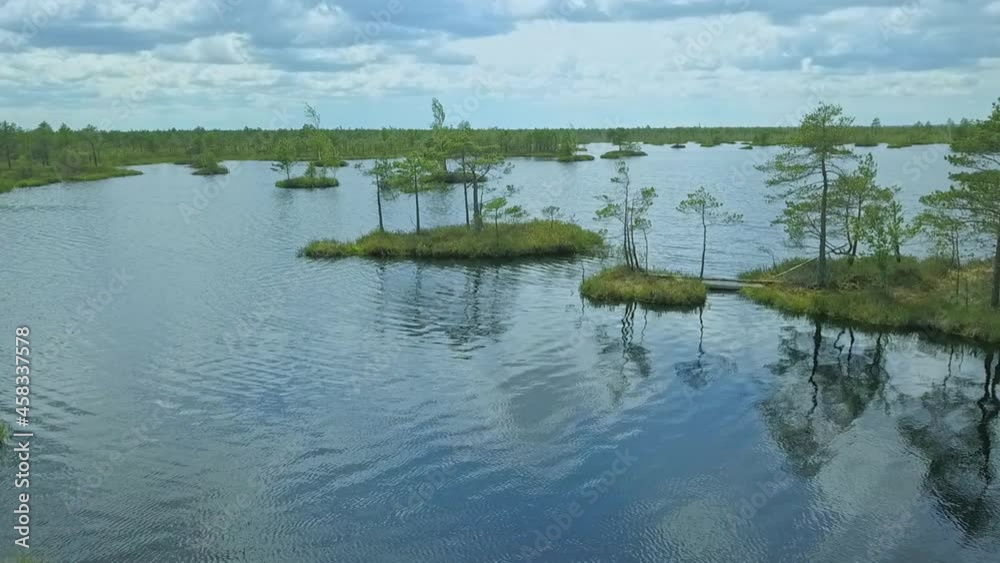 Top view of the marshy landscape. Aerial view of swamp with Lake. Environmental reservation concept. Wild nature background. Top view of the marshy landscape. Aerial view of swamp with Lake. Environmental reservation concept. Wild nature background.