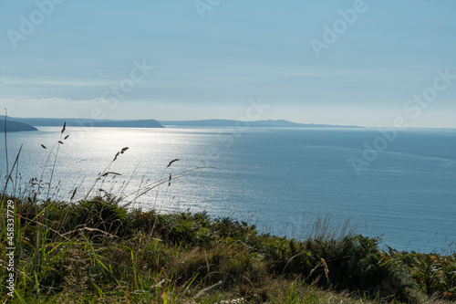 bright reflected sunshine seascape view from the pembrokeshire coast path towards dinas head and strumble head viewed through a line of grass seed heads photo