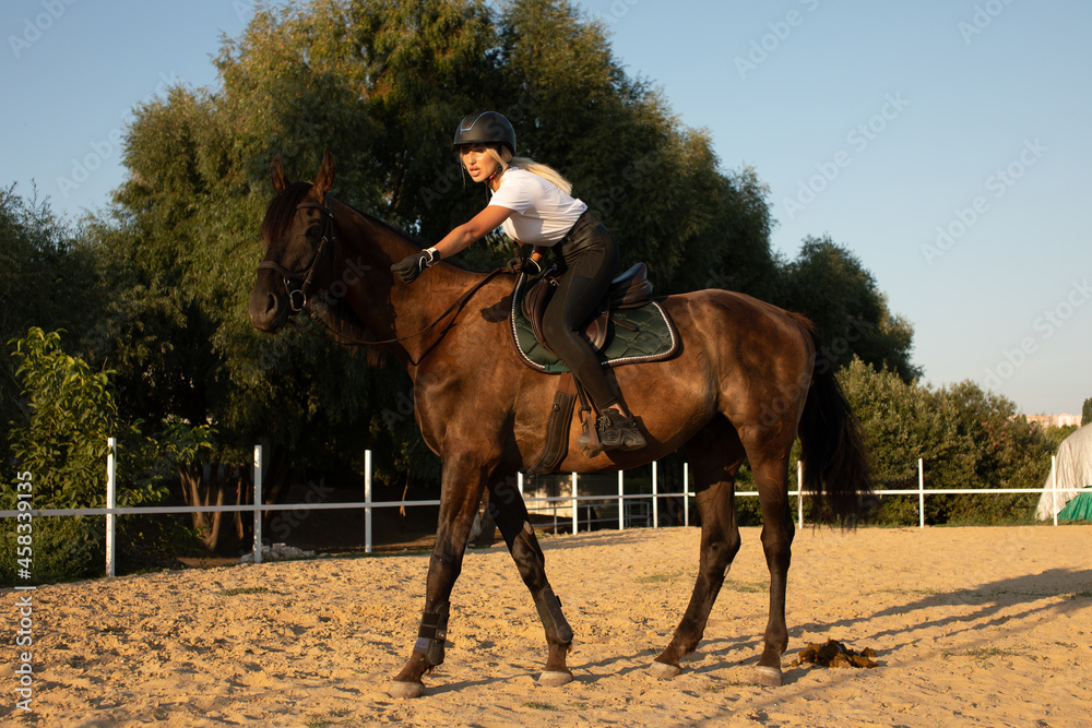 Young woman preparing to become a riding instructor taking care and talking to a horse. Young woman preparing to become a riding instructor taking care and talking to a horse.