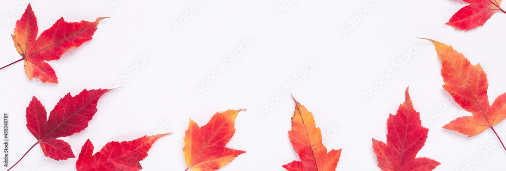 Horizontal banner with red maple leaves on white background. Copy space for your text Horizontal banner with red maple leaves on white background. Copy space for your text