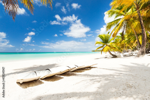 Beach scene with sunbeds under coconut palms © photopixel