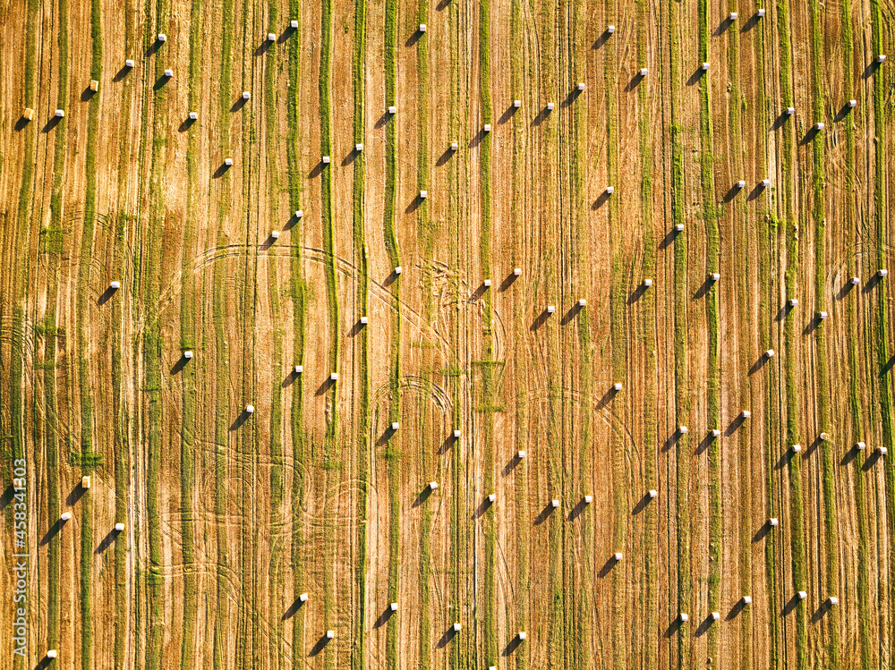 Autumn landscape, straw bales on agricultural field. Haystacks fall season top aerial view.