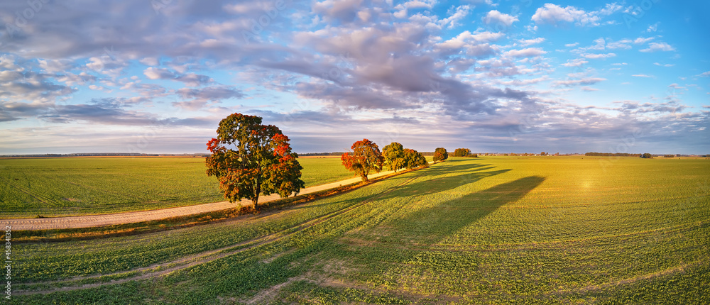 Autumn rural panorama. Fall colors beautiful trees dirt road agriculture fields. September sunny morning.
