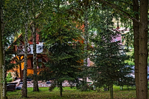 Fototapeta Naklejka Na Ścianę i Meble -  Drewniana rezydencja ( dom) wśród drzew  na wzgórzu . A wooden residence (house) among the trees on the hill.