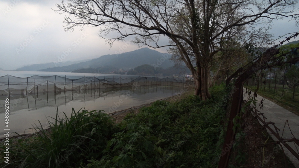 Landscape on the shore of the lake a large tree and fishing nets and in the distance mountain peaks in the fog.