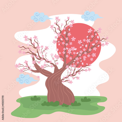 cherry sakura tree