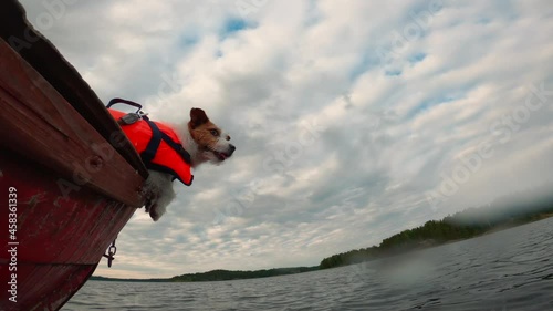 Funny dog in boat in a life jacket. Jack Russell Terrier at travel 