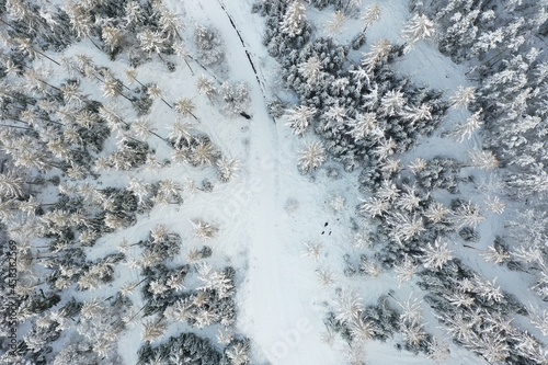 Snow on trees © Horizon