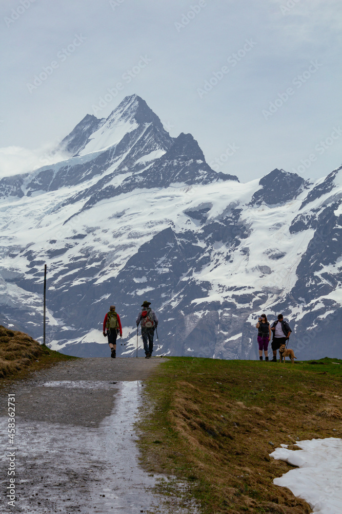 Backpacker hiker walking on panoramic trail with view on swiss alps with snow Backpacker hiker walking on panoramic trail with view on swiss alps with snow