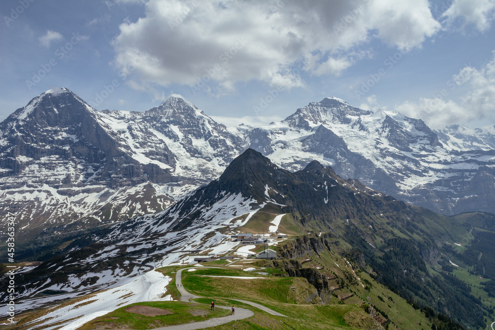 Switzerland, Panoramic view on Eiger, Monch and Jungfraujoch and green Alps around Mannlichen with spring flowers