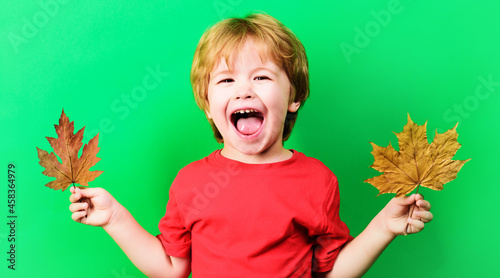 Happy Autumn child boy with maple leaf. Smiling kid with Yellow leafs. Autumnal mood.