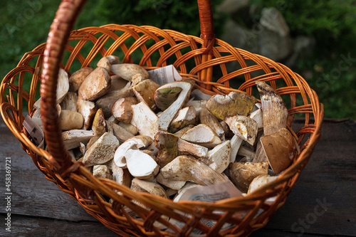 raw porcini mushrooms in a wooden basket  shallow depth of field
