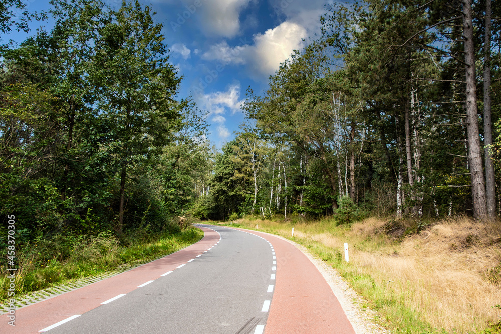 Highway through summer forest. Green trees beside of road going in the upward. Highway through summer forest. Green trees beside of road going in the upward.