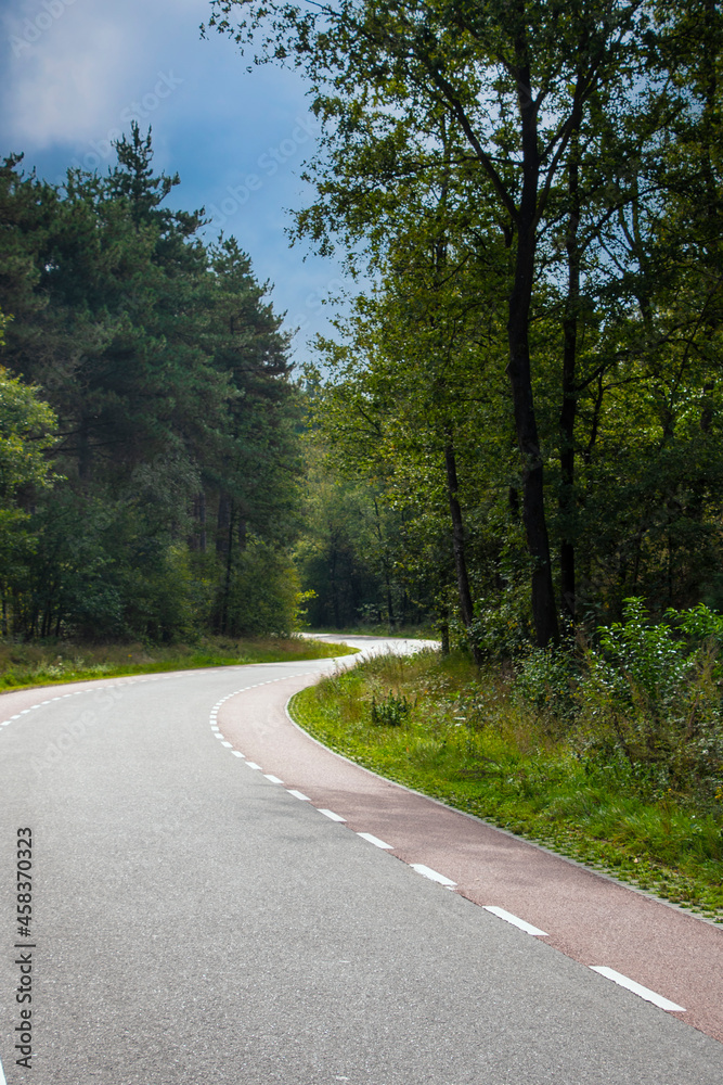 Highway through summer forest. Green trees beside of road going in the upward.