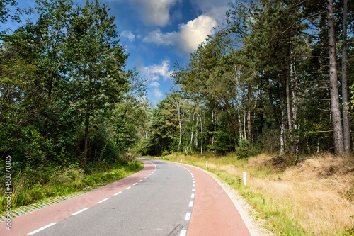 Highway through summer forest. Green trees beside of road going in the upward. © britaseifert