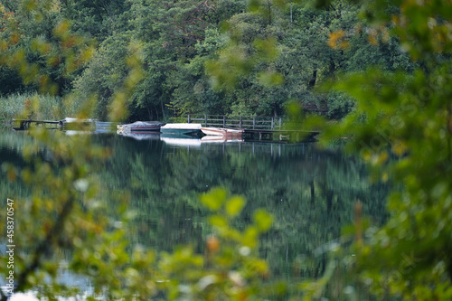 The first signs of autumn in the Monticolo Forest in Italy's South Tyrol. photo