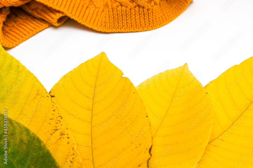Obraz premium Yellow autumn leaves and knitted sweater as a fall background