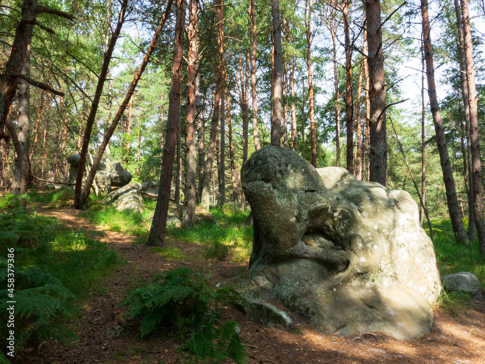 Rochers dans la forêt de Fontainebleau Rochers dans la forêt de Fontainebleau