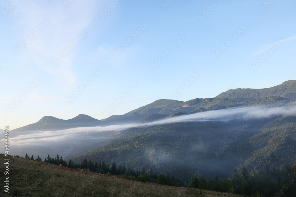 Picturesque view of mountain forest covered with fog