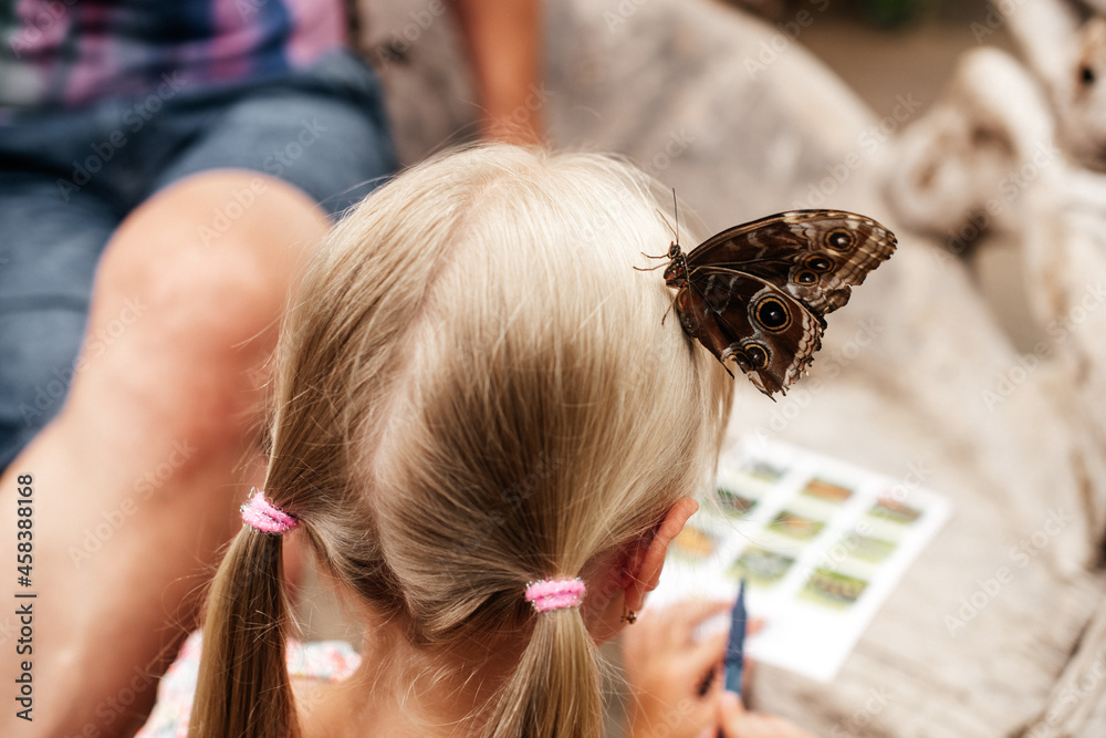 Fototapeta premium Ein Schmetterling sitzt auf dem Kopf eines Mädchens