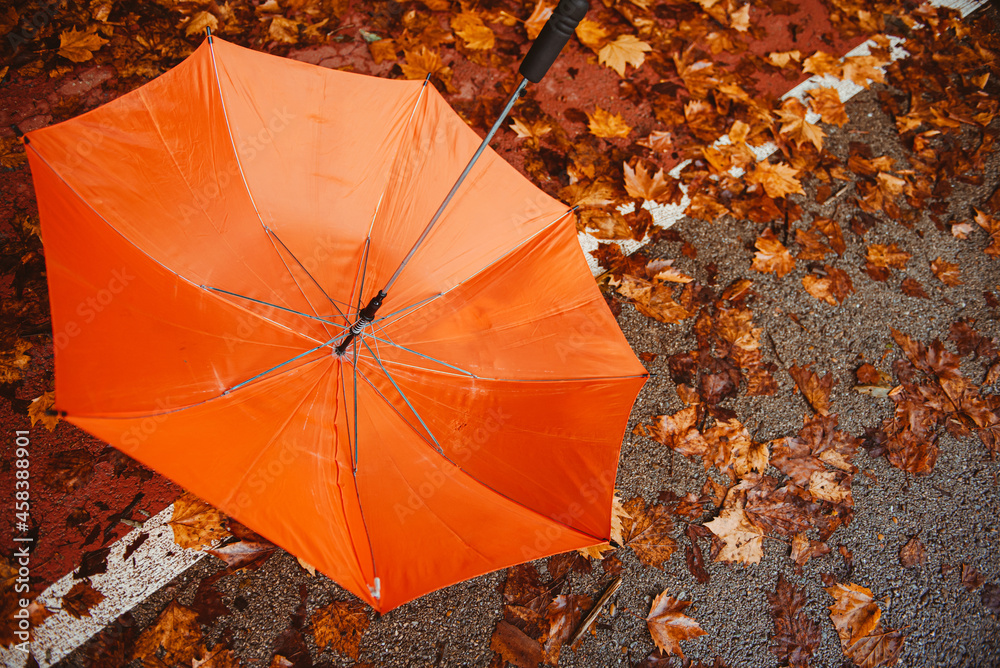 Orange umbrella dumped on foliage-covered ground on a rainy fall day.