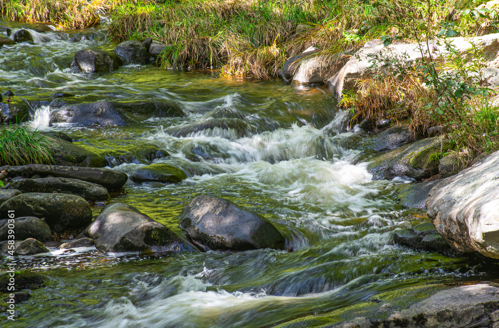 an stream fowing through the wilderness of new england an stream fowing through the wilderness of new england