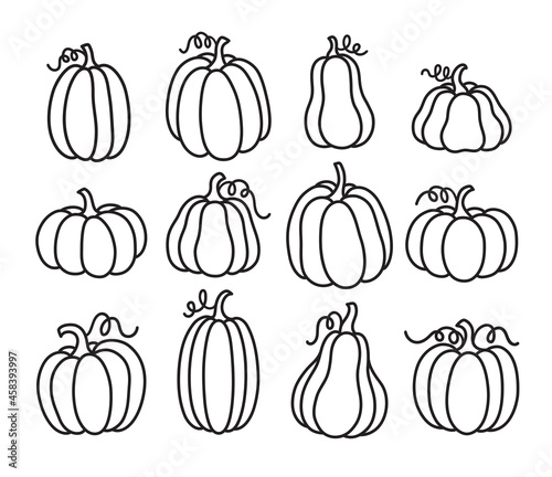 Outlined pumpkin, pumpkin doodles, pumpkin line art vector illustration.