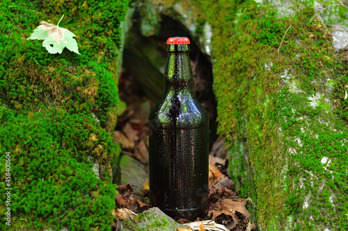 Fresh beer bottle laying on forest rock covered with green moss
