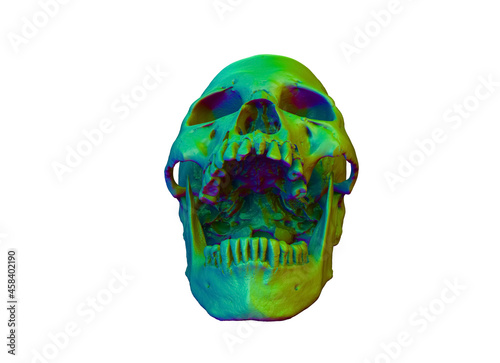 A human skull with a wide-open mouth on saturated colors on a white background. Image for printing. The concept of death, horror. Spooky Halloween symbol, virus.  3d render illustration.