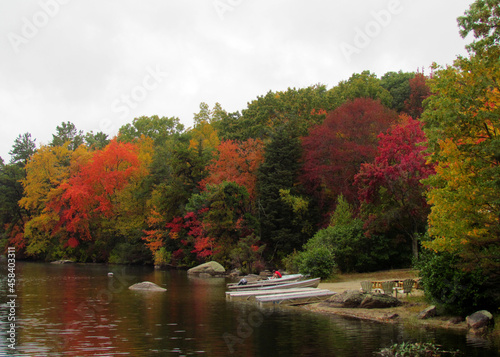 Small boats in a beautiful lake in front of colourful trees during Fall season in Connecticut USA