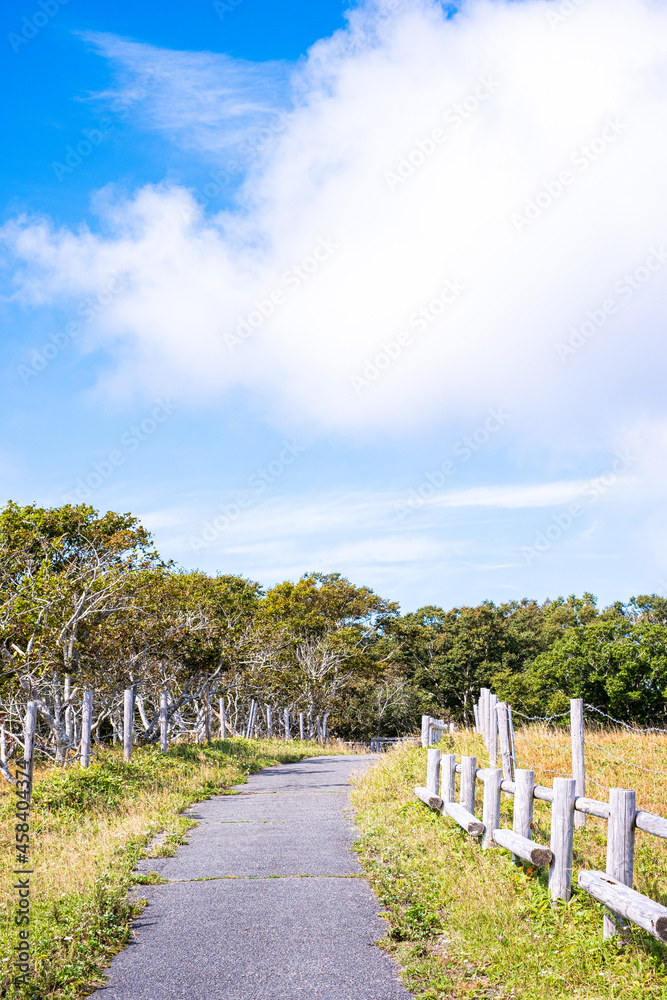 Fototapeta premium 初秋の北海道の道東