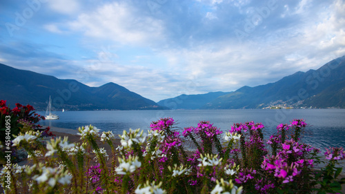 Lake Lucerne, Switzerland, Lake, Blue Water, Hills, Mountains, Beautiful View, Clouds, Outdoor, Europe, Hills and Sky, Landscape, Boat, Nature, Vacation, Holiday, Pink Flowers, White Flowers, Travel