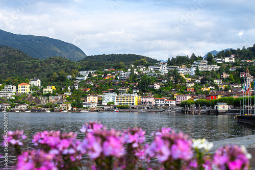 Lake Lucerne, Switzerland, Hills, Lake, Water, Flowers, Flowers, Pink Flowers, Holiday, Vacation, Vierwaldstättersee, Tourism, Lucerne, Landscape, Nature, Mountain, Scenic