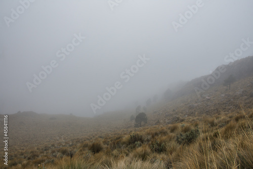 Mountain landscape with mist
